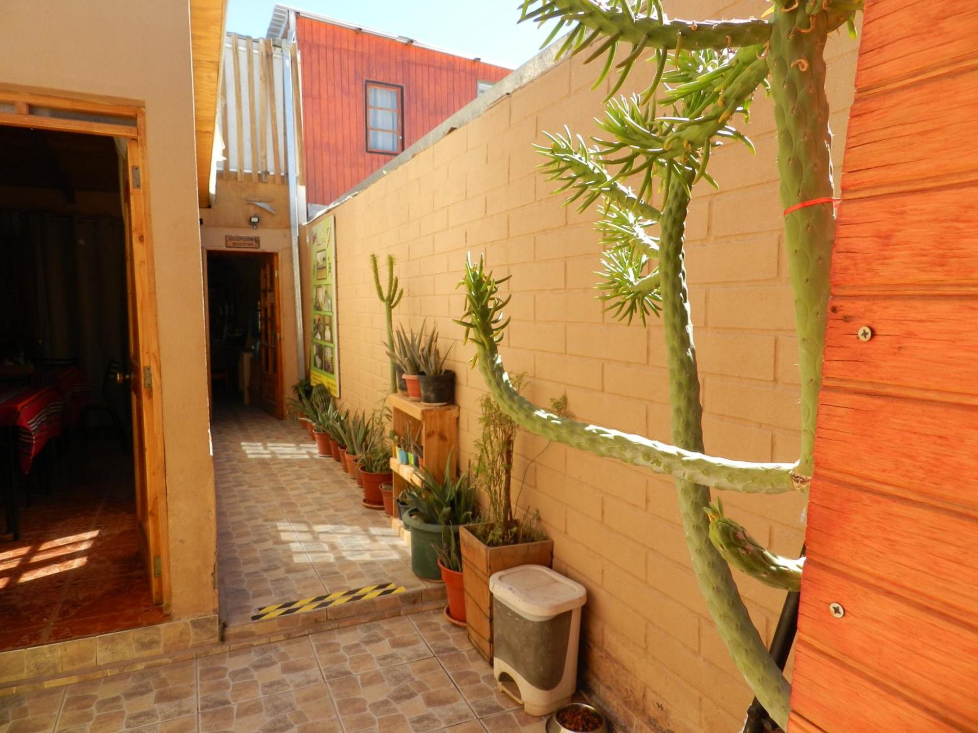 Hostal Illari San Pedro de Atacama Dış mekan fotoğraf